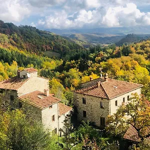 Bio Agriturismo Il Vigno Country house Caprese Michelangelo